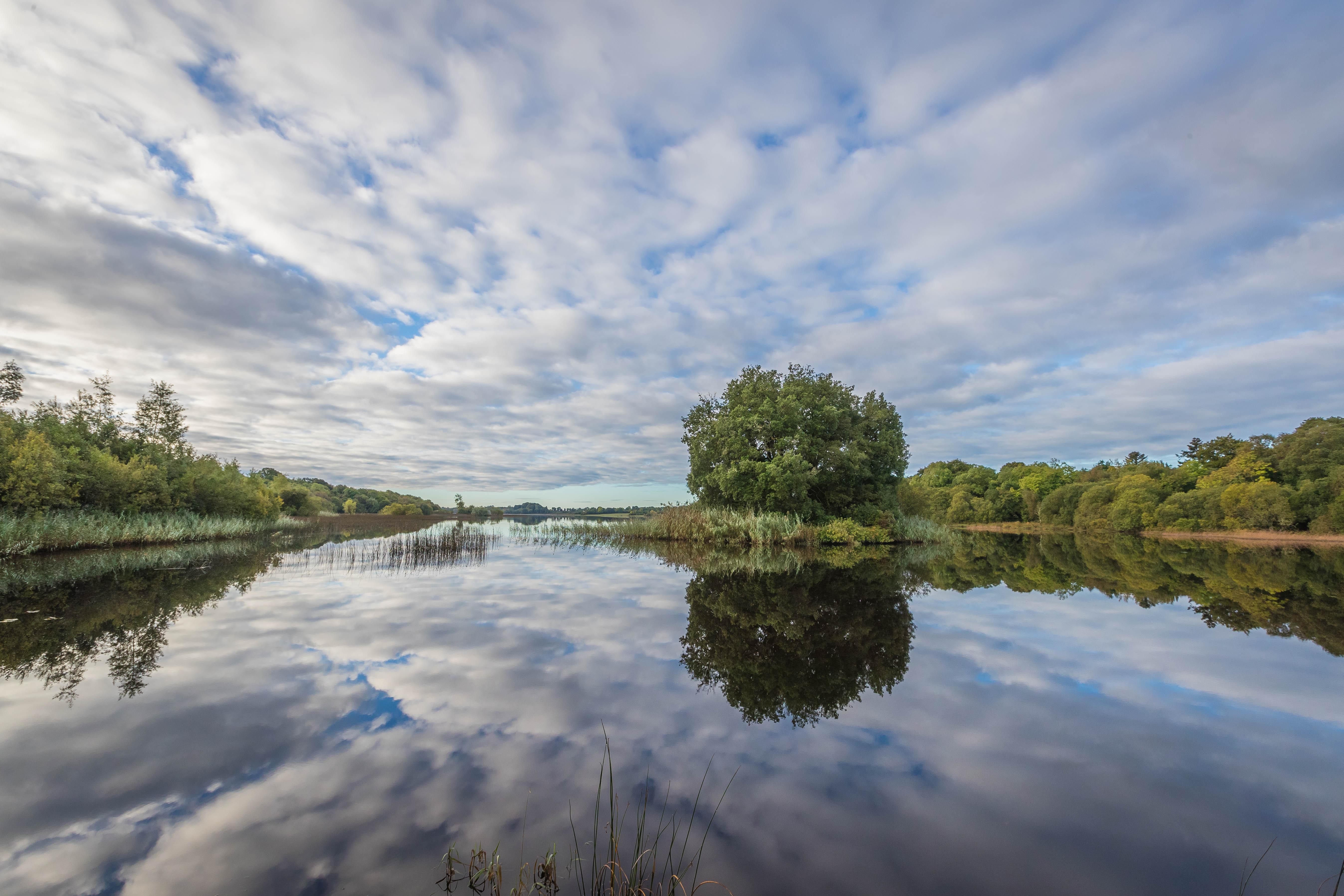 Lough Rynn Castle Hotel Mohill Kültér fotó